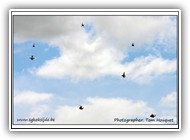 Flypast